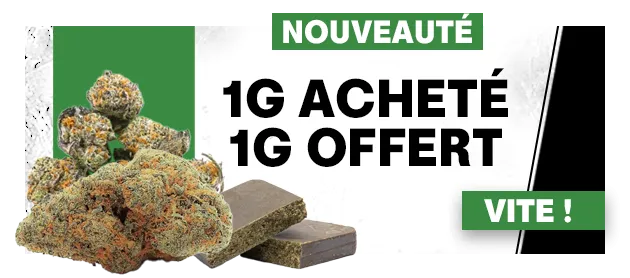 Tutti Frutti Small Buds